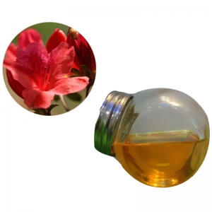 Hot sale & hot cake Daurian rhododendron oil